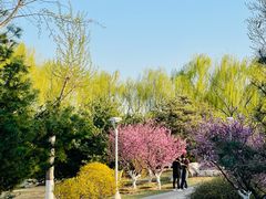 -燕郊植物园