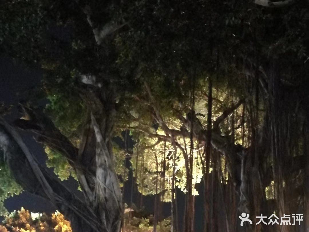 一个去过不止一次的地方～