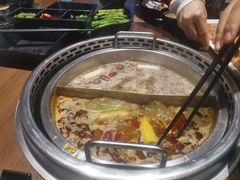 成双锅-快乐小羊(富强中路店)