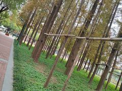 -COMMUNE幻师(五角场店)