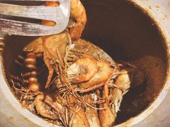 胡椒虾-雷泰泰台式胡椒虾(滨江金铂湾店)