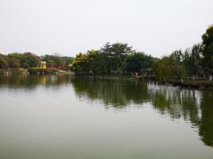 -海珠湖公园