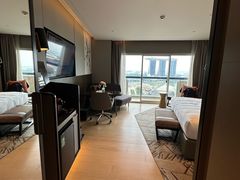 -新加坡瑞士史丹福酒店