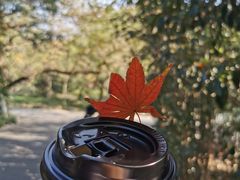 -东航云逸酒店(九溪烟树店)