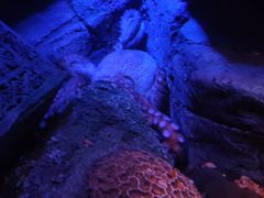 -沈阳海洋探索中心