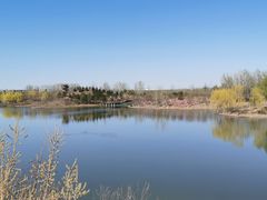 -东郊湿地公园
