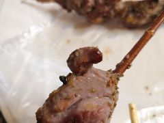 -艾力江和田馕坑烤肉店