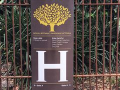 -墨尔本皇家植物园