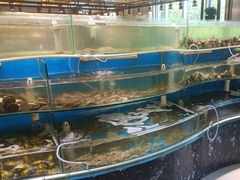 -四海蒸鲜蒸汽海鲜自助(北戴河店)