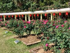 -人民公园(罗湖区)