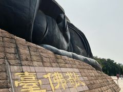 -三水森林公园