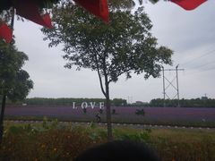 -兰陵国家农业公园