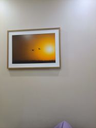 -北京米扬丽格医疗美容·联合丽格鼻整形中心