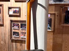 -宣科纳西古乐·非遗音乐(大水车店)