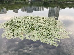 -后襄河公园