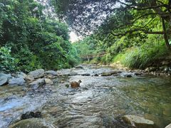 -梧桐山风景名胜区