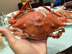 -北塘海鲜·天津菜(大光明桥旗舰店)