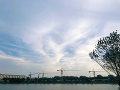-羊山湖公园
