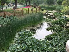 -燕郊植物园