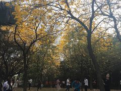 -南国桃园旅游度假区