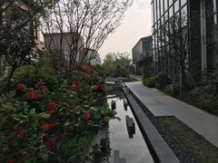 -水月周庄铂尔曼酒店-水月荟中餐厅