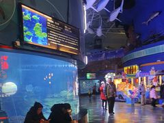 -烟台海昌鲸鲨海洋公园