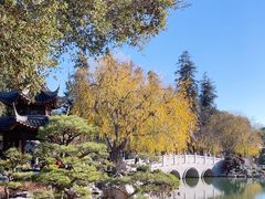 -汉庭顿图书馆
