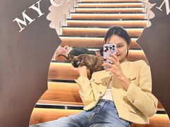 -琪喵猫屋·撸猫猫咖·猫舍