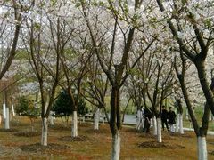 -江南大学(蠡湖校区)