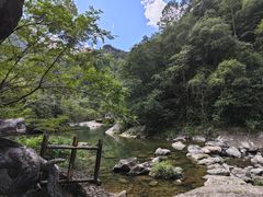 -龙湾潭国家森林公园
