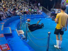 -烟台海昌鲸鲨海洋公园