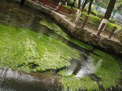 -水磨沟公园