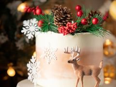 圣诞节蛋糕-艾加柒克蛋糕茶歇甜品台(春熙路店)