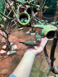 -Zoolung Zoolung动物主题公园(海信广场店)