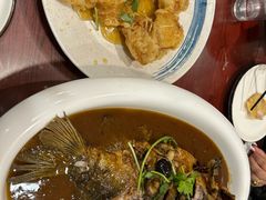 -邵年鸽(杨庄店)