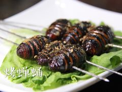 烤蝉蛹-丹东丛炟海鲜烧烤(江艺路店)