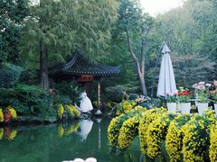 -杭州植物园