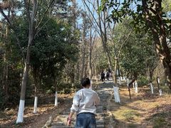 -游子山休闲旅游区