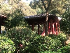 -贮水山儿童公园