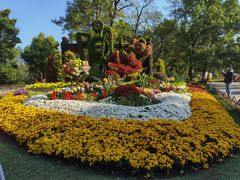 -上海共青森林公园