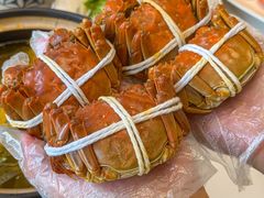 -蟹天蟹地农家菜·阳澄湖大闸蟹(浅水湾店)