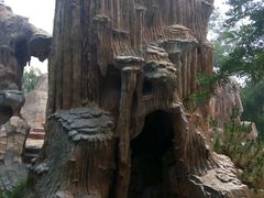 -南戴河国际娱乐中心