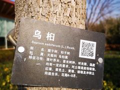 -上海山野camping·户外天幕烧烤·团建拓展营地