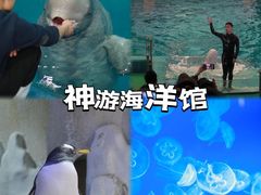 -威海华夏城景区