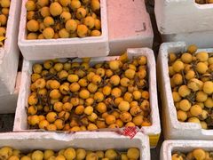 -塘栖枇杷特色园区