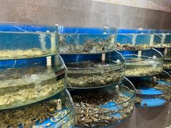 -蓝珊甄选海鲜自助·火锅大排档(近阿那亚店)