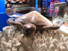 -芭菲盛宴·环球美食(北城国际店)