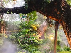 -Chom Cafe and Restaurant