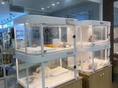 -翊宠yipet猫狗购宠庄园犬舍•猫舍