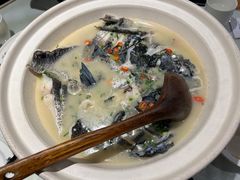 -老傅家湘潭水煮活鱼店(众一国际店)